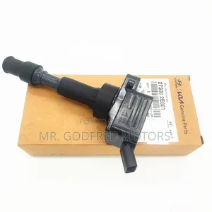 Hyundai Elantra 2020 Ignition Coil Pack. Original.