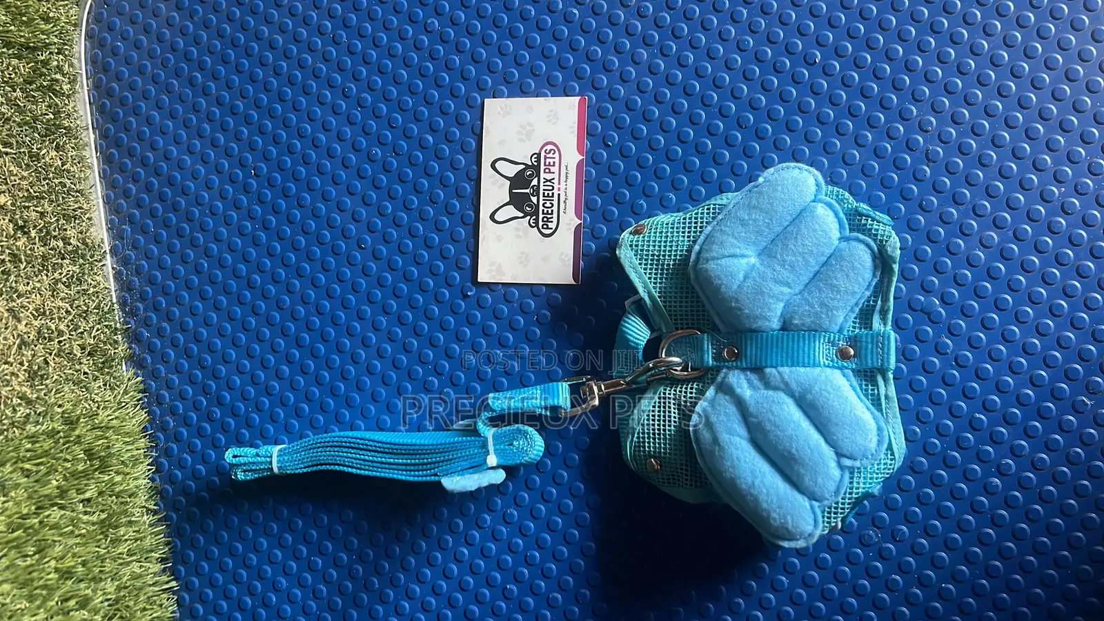 Butterfly Harness -0006