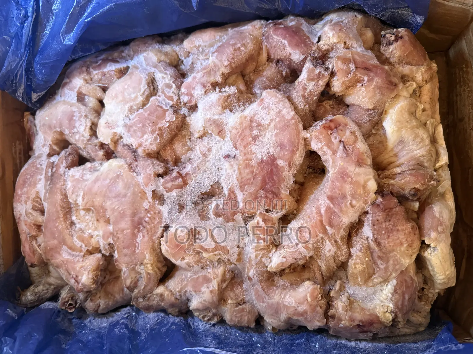 Chicken NECK for Dogs
