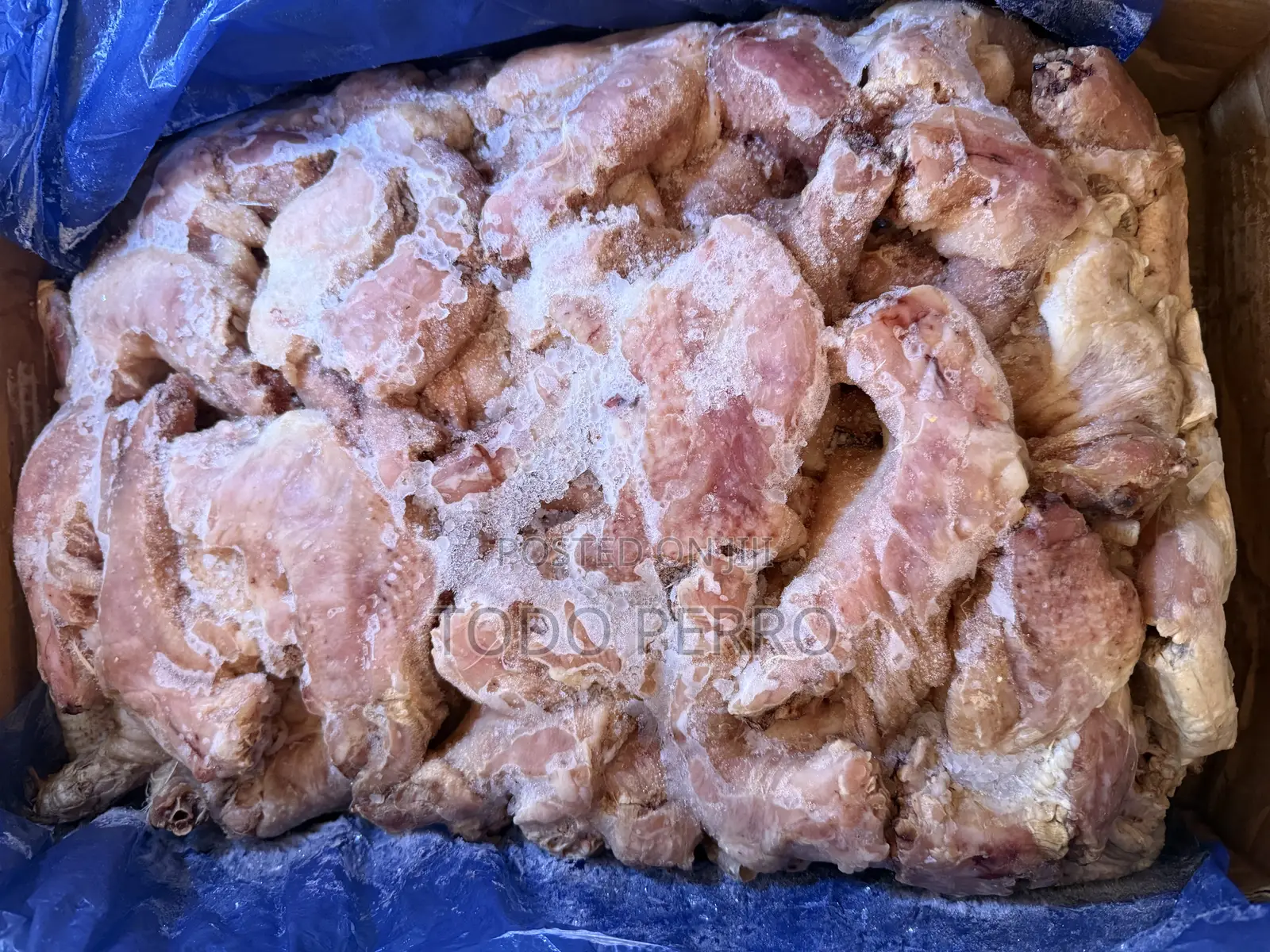 Chicken NECK for Dogs