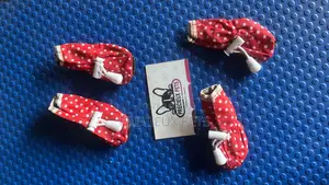 Shoes for Toy Dogs -Adolescent
