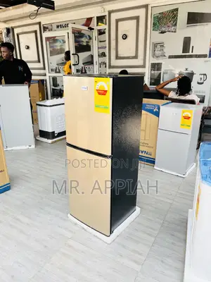 Fast Cooling Nasco Nasco D2-18fl Electric Fridge(Gold) 
