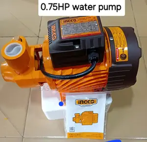 Dominant 0.75HP Ingco Submersible Water Pump 550watts