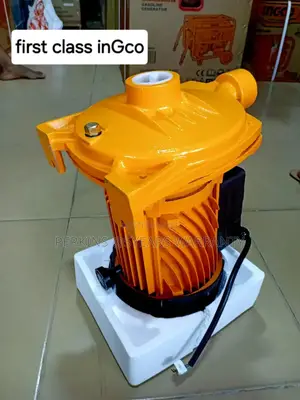 Discover the Ingco Difference 0.5hp Submersible Ingco Water