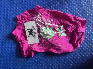 Toy Dog Clothing- New Stock -2025-00077000