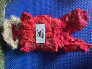 Toy Dog Clothing- New Stock -2025-0 030000