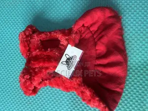 Toy Dog Clothing- New Stock -2025-0 489400