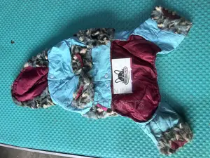 Toy Dog Clothing- New Stock -2025-0 862929