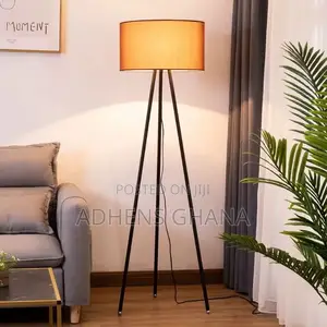 Floor Lamp / Standing Light