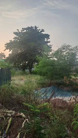 Land Forsale -Tesano