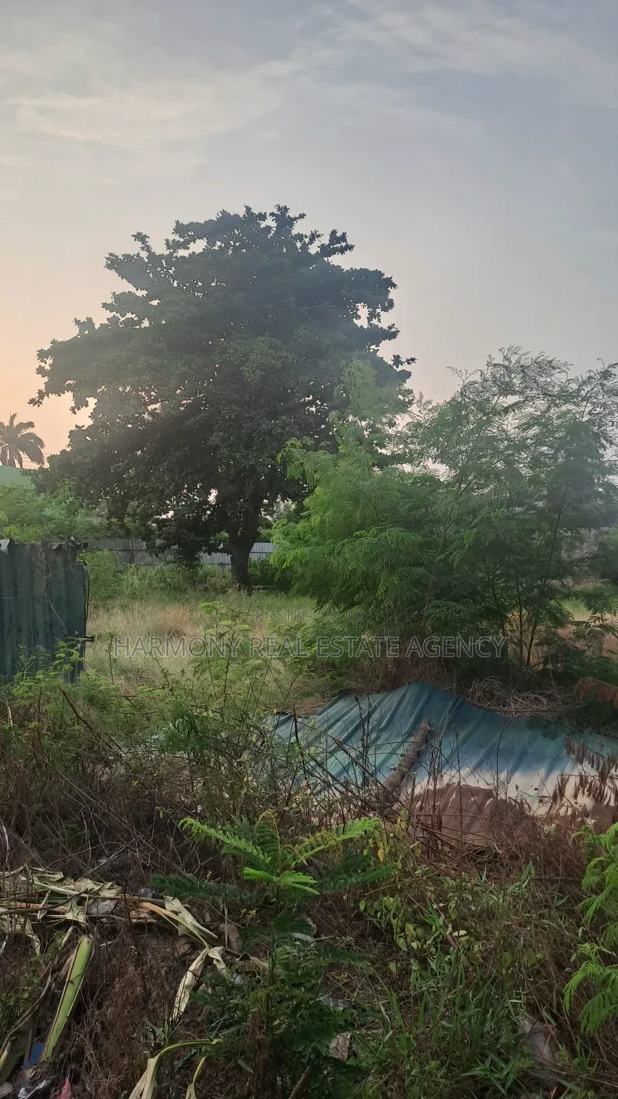 Land Forsale -Tesano