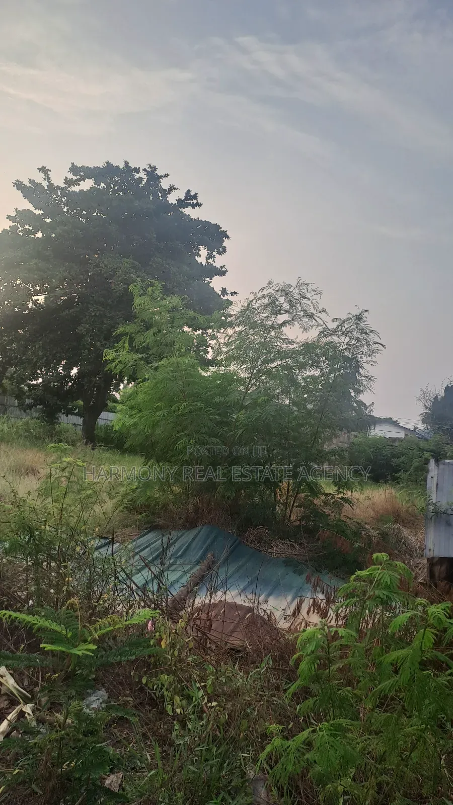 Land Forsale -Tesano