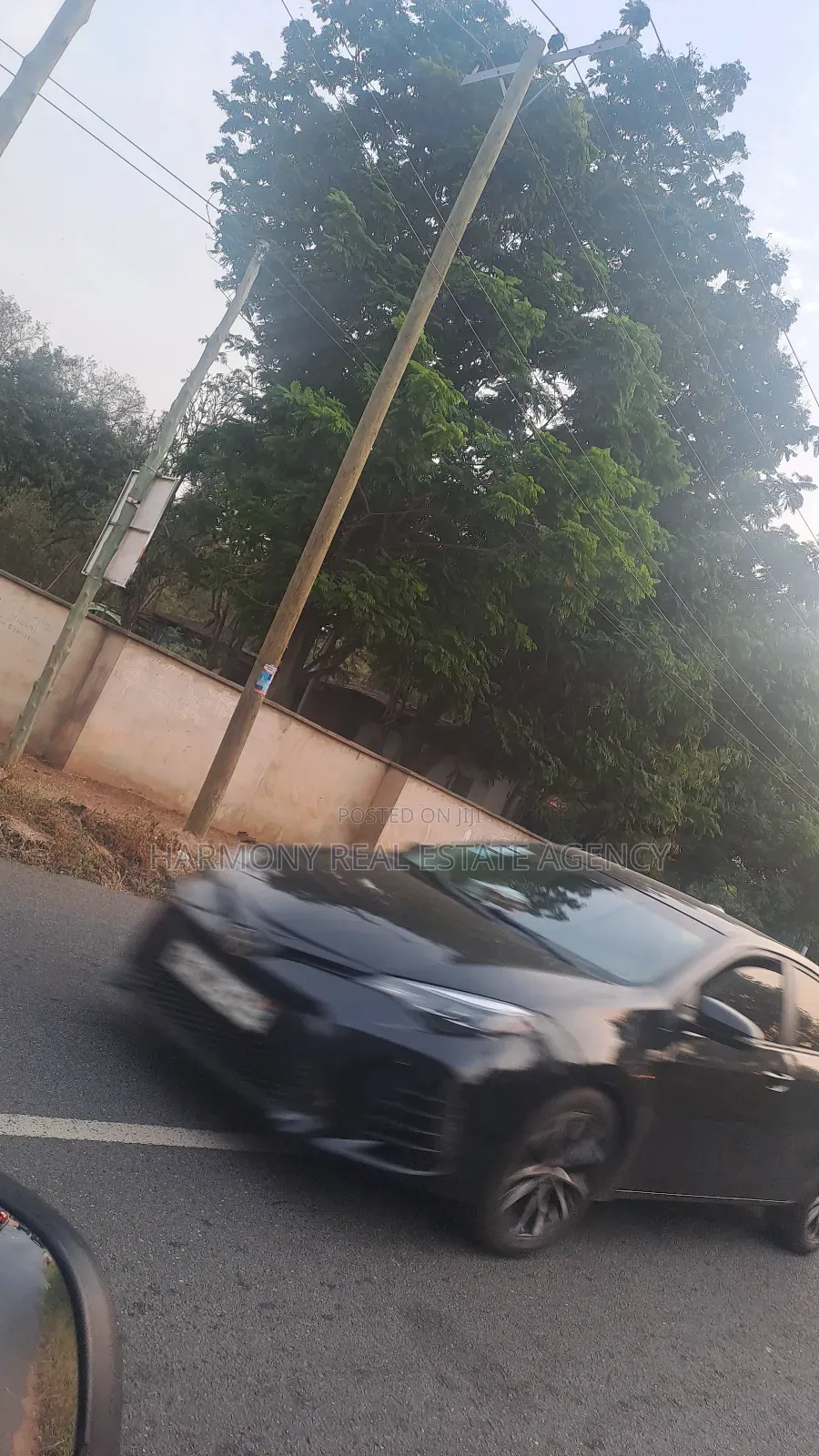 Land Forsale -Tesano