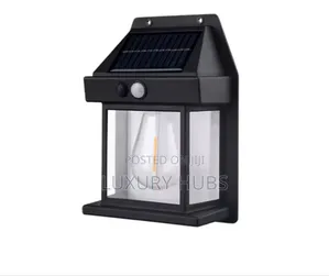 Solar Light (Human Sensor, Waterproof Solar Light)