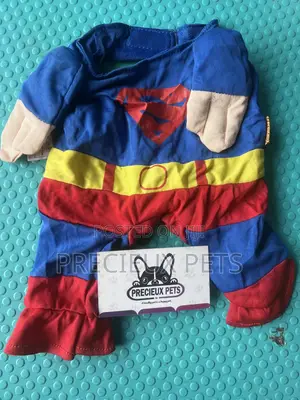 Toy Dog Clothing- New Stock -2025-0 00230200