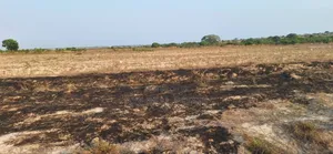 Demarcated Estate Half Plot at Prampram Beach Road
