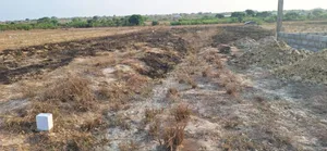 Demarcated Estate Half Plot at Prampram Beach Road