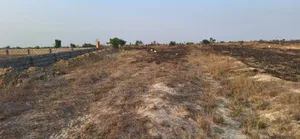 Demarcated Estate Half Plot at Prampram Beach Road