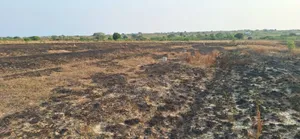 Half Plot on Promo Offers - Prampram Beach Lane