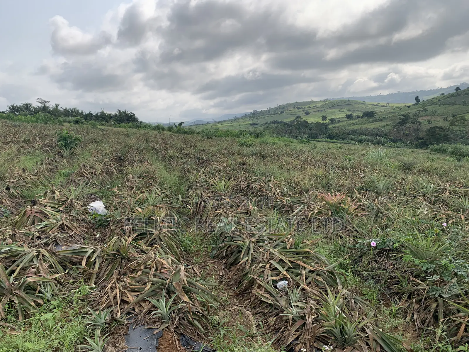 7 Acres of Land at Aburi Pokrom for Sale