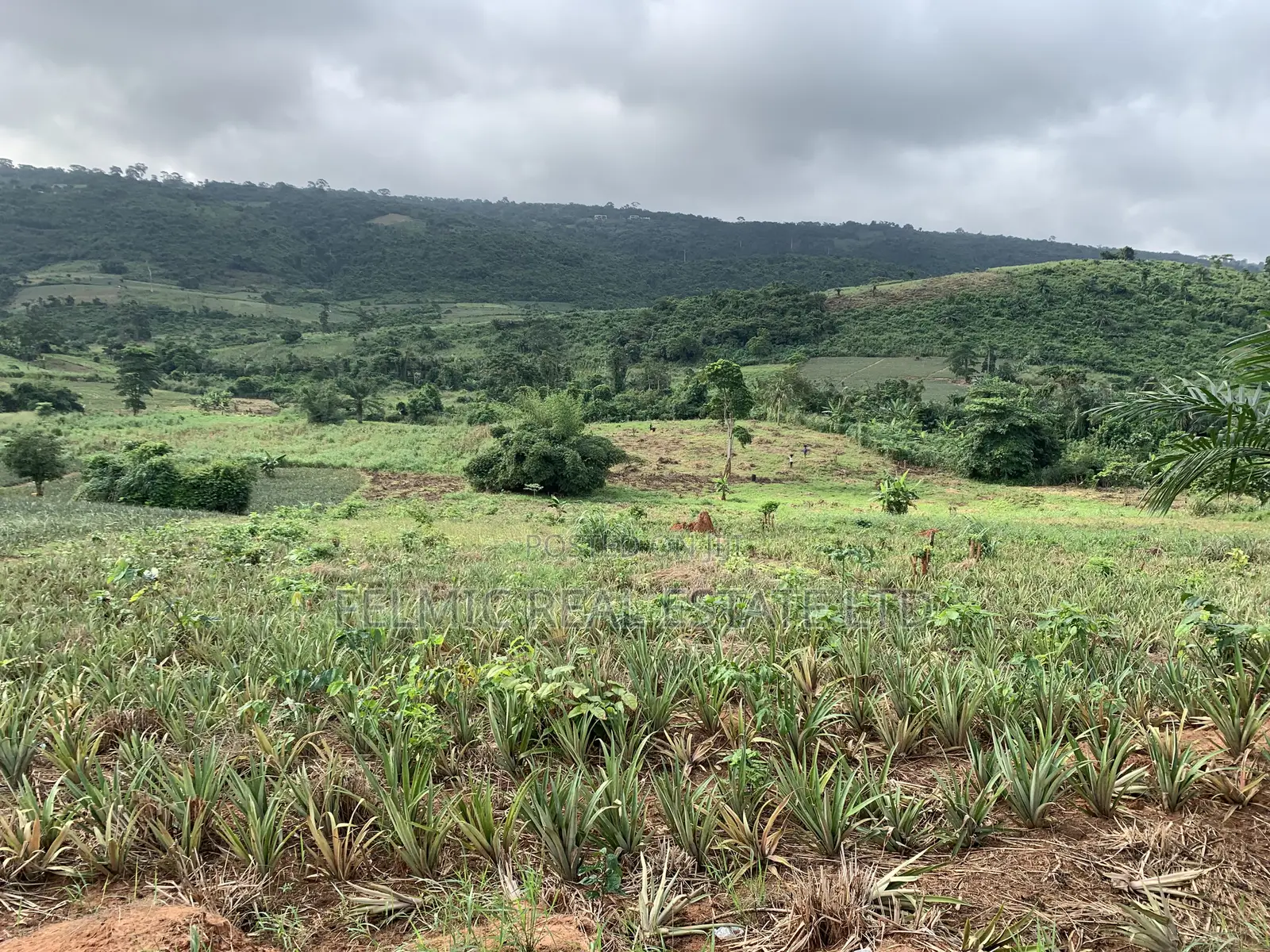 7 Acres of Land at Aburi Pokrom for Sale