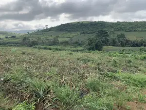 7 Acres of Land at Aburi Pokrom for Sale