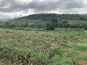 7 Acres of Land at Aburi Pokrom for Sale