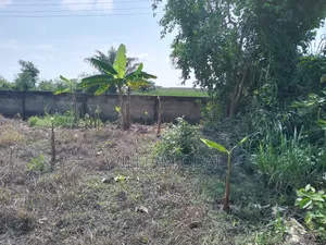 Old Ashongman Pure Water Half Land