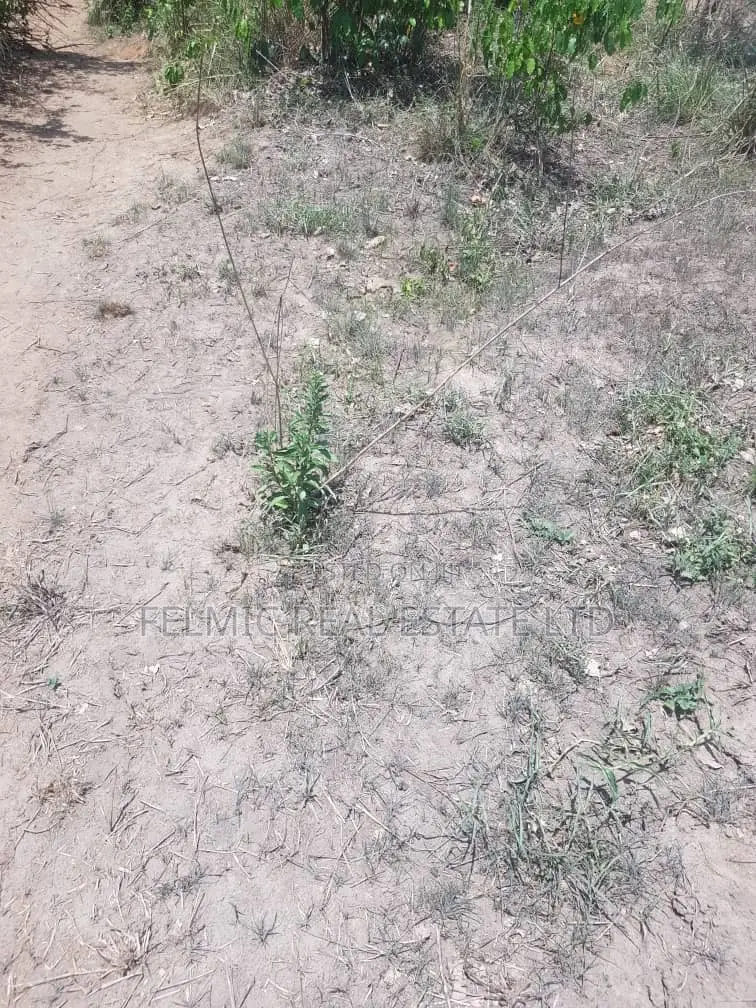 2 Acres of Land at Gomoa Simbrofo Abt 5 Mins From Winneba Junct For
