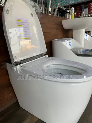 Smart Water Closet _ Sensor WC With Remote Control