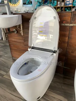 Smart Water Closet _ Sensor WC With Remote Control
