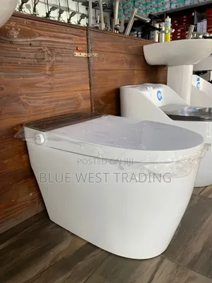 Smart Water Closet _ Sensor WC With Remote Control