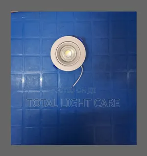 9 Watts Led Blue and White Spot Ceiling Light