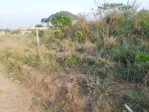 10 Acres of Land 4sale Ejisu -Adanse After Ejisuman SHS