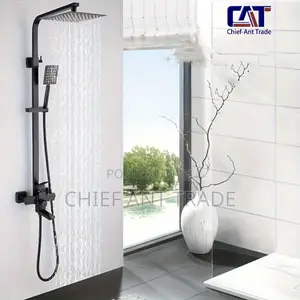 Black Hot and Cold Shower 