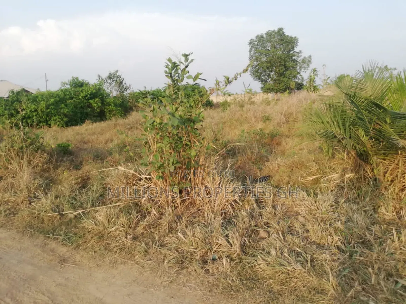 4 Acres of Land Ejisu -Bonwire