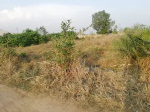 4 Acres of Land Ejisu -Bonwire