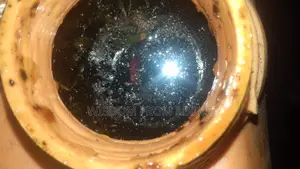 Raw and Unprocessed Natural Honey - 100% Natural