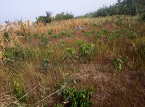11 ACRES of Land for Sale at Tema Industrial Area