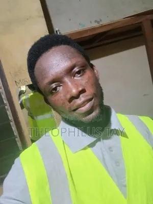 Mr. Theophilus Mawunyegah Tay