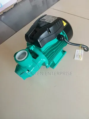 Rio 0.5hp Water Pump