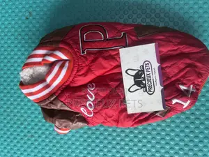 Toy Dog Clothing- New Stock -2025-0 479964