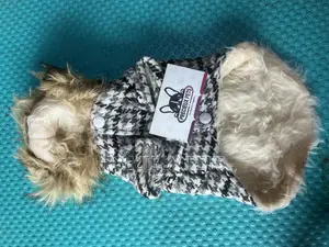 Toy Dog Clothing- New Stock -2025-0 00273729