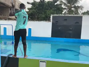 Swimming Pool Cleaning and Sales