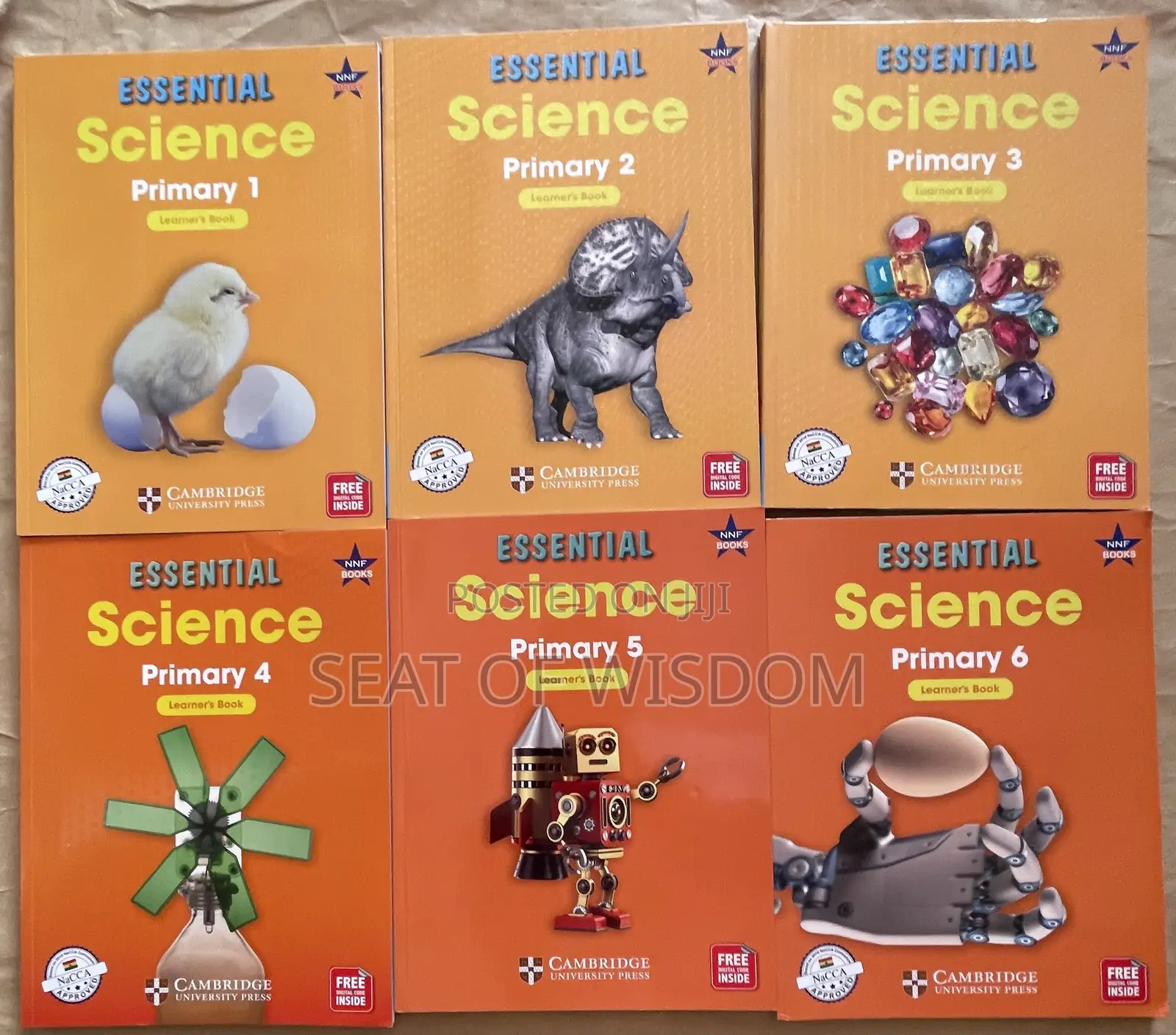 Essential Science for Primary Schools