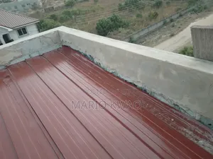 Roof Leakage and Maintenance