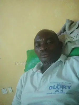 Driver CV, License C. Driver Looking for Job