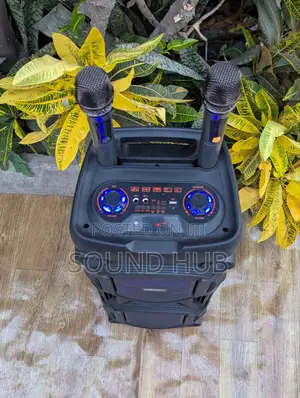 Outdoor Wireless Bluetooth Speaker With Microphone - Black