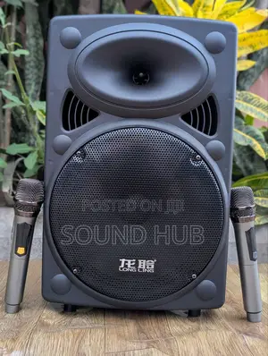Professional Trolley Speaker With Two Microphones