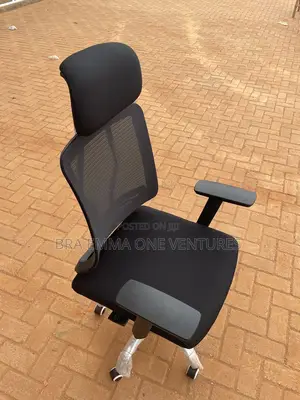 Mesh Ergonomic Office Chair